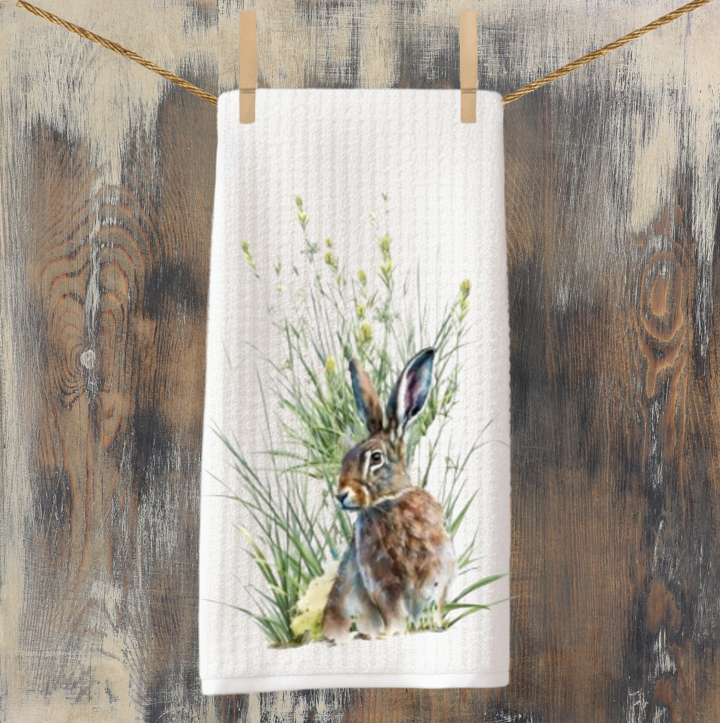 Wild Rabbit