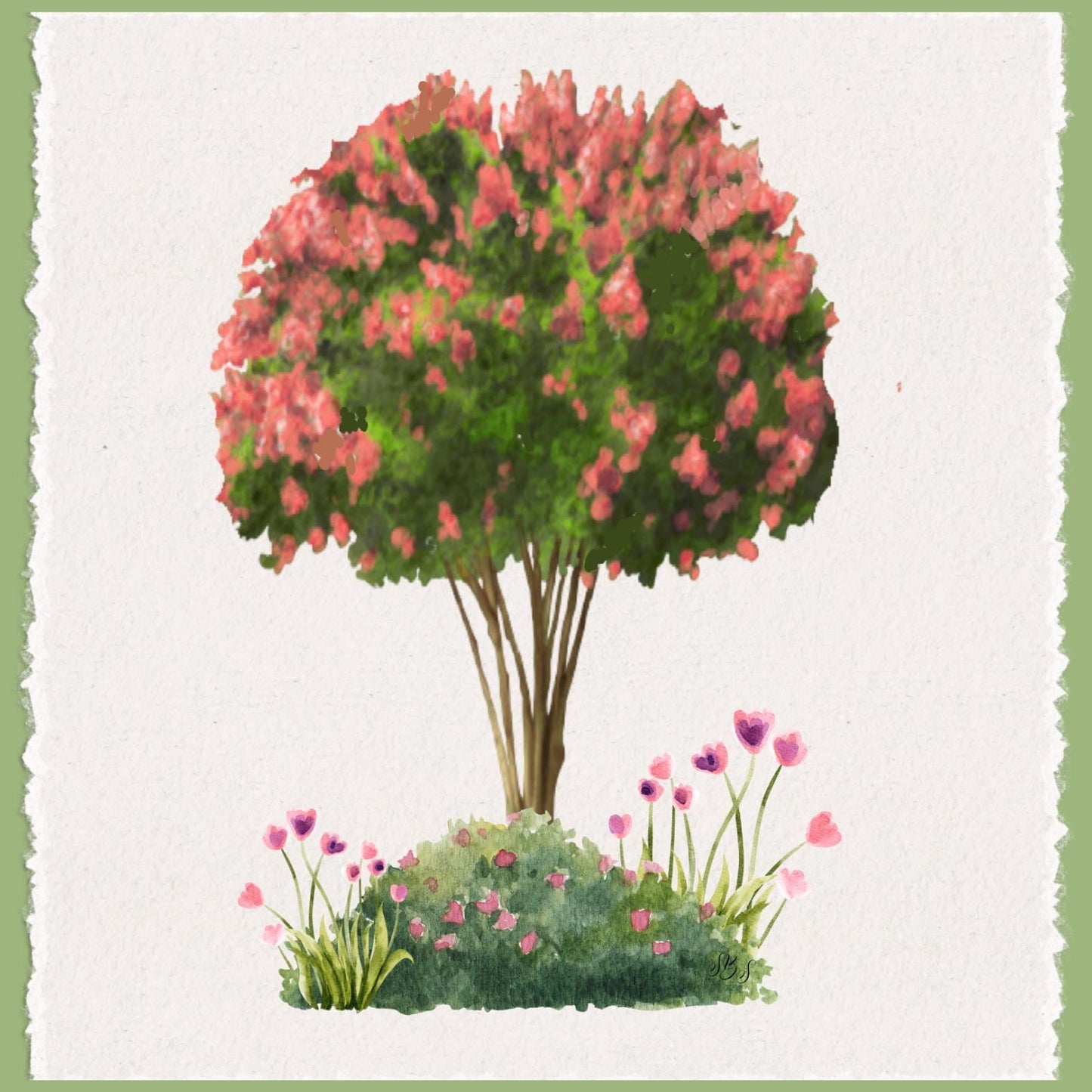 Crepe Myrtle and Weeping Willow Set