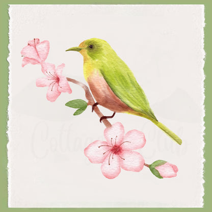 Cherry Blossom Tree and Watercolor Bird Collection