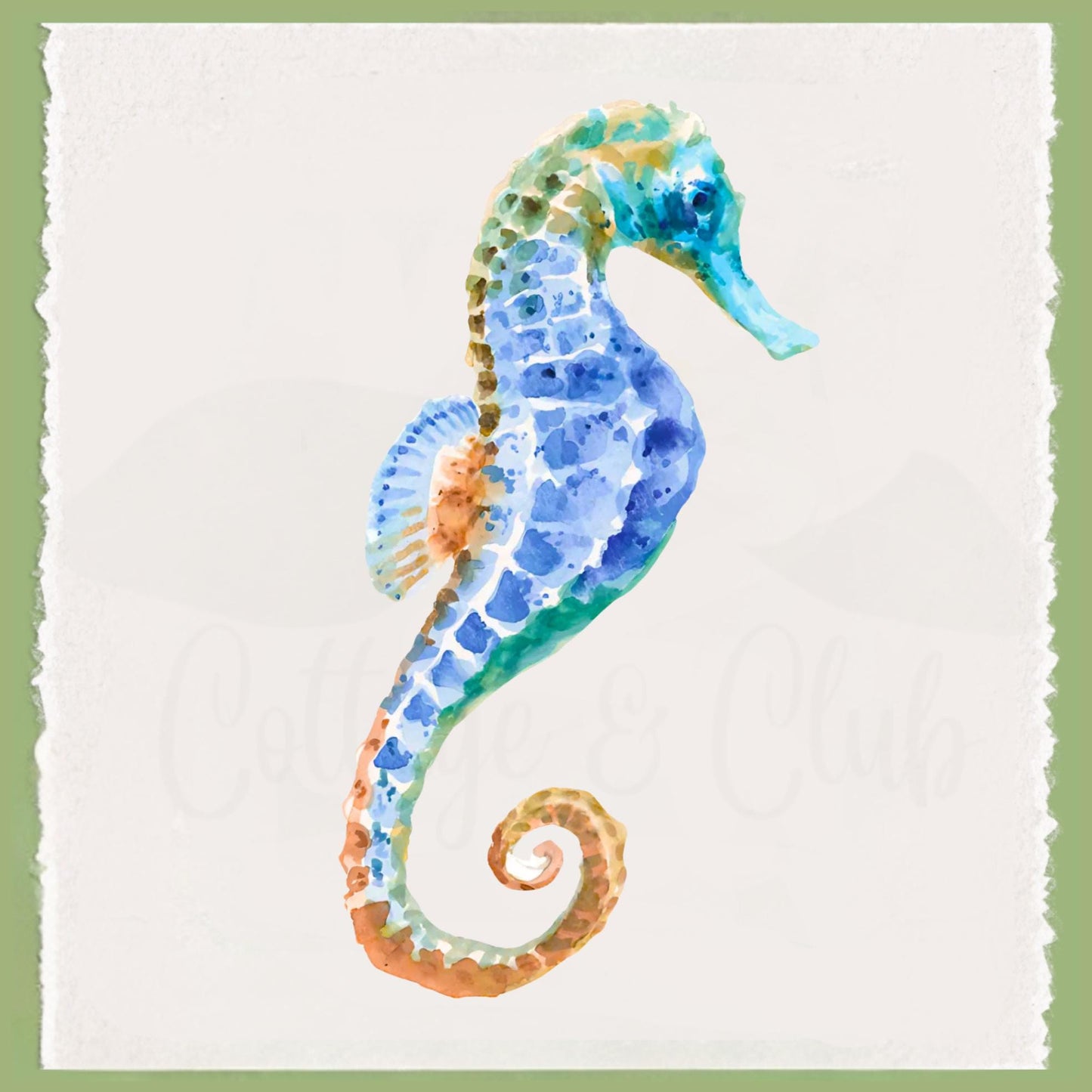 Coastal Crab & Sea Horse Tea Towel Collection